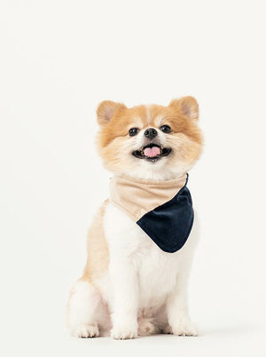 2 in 1 BANDANA - Beige/Blue - ThoseDogParents