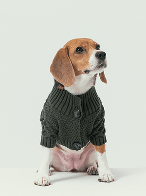BERT CARDIGAN SWEATER - DARK GREEN - ThoseDogParents
