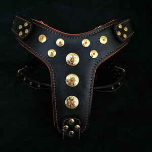 ''Bijou'' harness Black & Orange for big dogs - ThoseDogParents