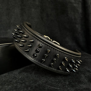 ''Black Giant'' collar - ThoseDogParents