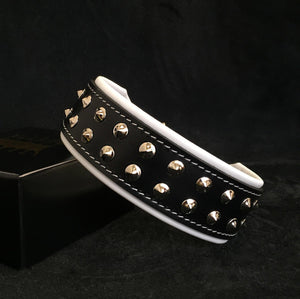 "Boston" collar - ThoseDogParents