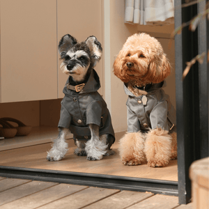 BOWERY RAINCOAT - GRAY - ThoseDogParents