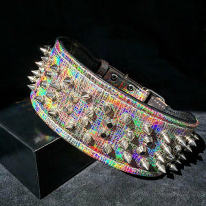 ''Chameleon'' LIMITED big dog collar - ThoseDogParents