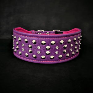 "Crystal" 2.8 inch wide soft leather collar - ThoseDogParents