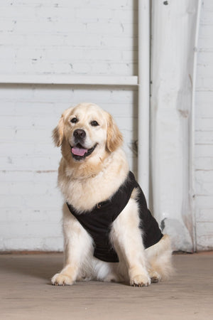 Dog Tank - ThoseDogParents