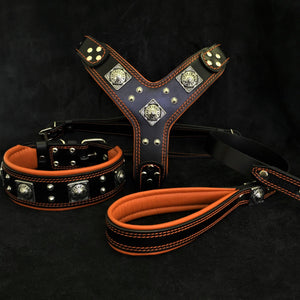 "EROS" BIG dog SET - Harness - collar - lead. Black & Orange - ThoseDogParents