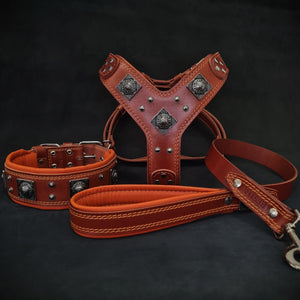 "EROS" BIG dog SET - Harness - collar - lead. Brown & Orange - ThoseDogParents
