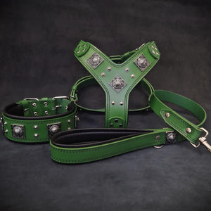 "EROS" BIG dog SET - Harness - collar - lead. Green - ThoseDogParents