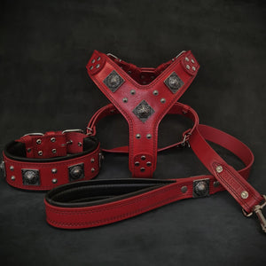 "EROS" BIG dog SET - Harness - collar - lead. Red - ThoseDogParents
