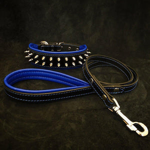 "Frenchie" Set - collar & leash. Blue - ThoseDogParents