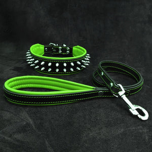 "Frenchie" Set- collar & leash. Green - ThoseDogParents