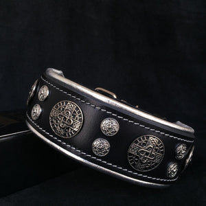 "Hektor" collar - ThoseDogParents