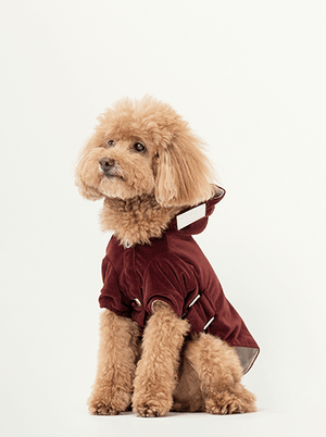 HUSTON HOODIE - DARK BURGUNDY - ThoseDogParents
