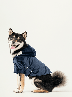 HUSTON HOODIE - MIDNIGHT BLUE - ThoseDogParents