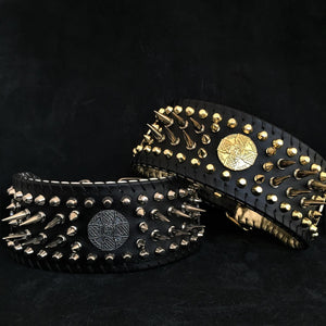 ''Imperium'' hand stitched 8 cm wide show collar - ThoseDogParents