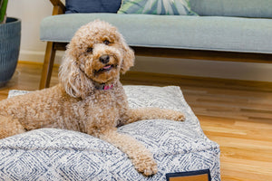 Lounger Pet Bed in Sapphire Spaniel - ThoseDogParents