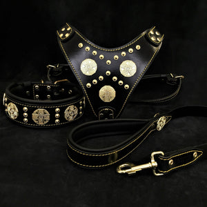 "Maximus Black" BIG dog SET - Harness - collar - lead. Brass rivets - ThoseDogParents