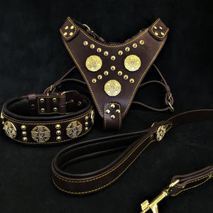 "Maximus Brown" BIG dog SET - Harness - collar - lead. Brass rivets - ThoseDogParents