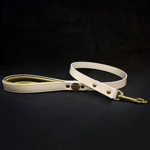 Maximus Gold Leash 1 inch wide - ThoseDogParents