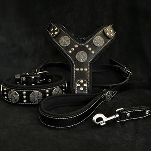 "Maximus Silver" BIG dog SET - Harness - collar - lead. Black - ThoseDogParents