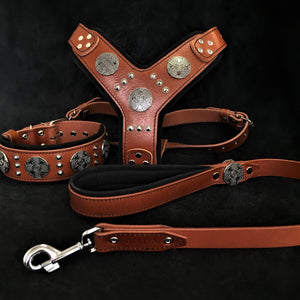 "Maximus Silver" BIG dog SET - Harness - collar - lead. Brown - ThoseDogParents