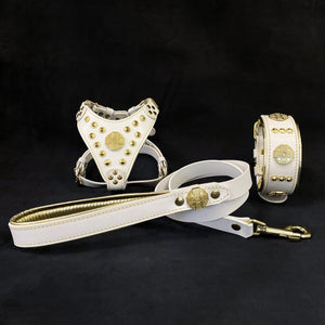 "Maximus White&Gold" Small dog SET - Harness - collar - lead - ThoseDogParents
