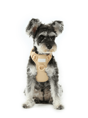 NO PULL ACTIVE PET HARNESS - APRICOT - ThoseDogParents
