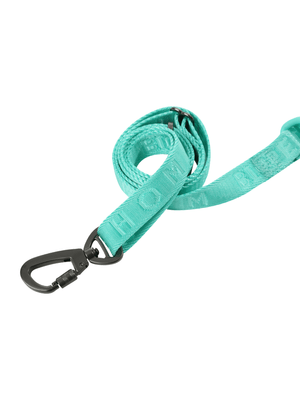 PADDED ACTIVE PET LEASH - MINT GREEN - ThoseDogParents