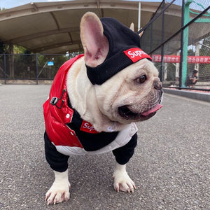 Pet Clothing Trendy Brand Street Dog Clothes Fighting Teddy Schnauzer Bottom Coat Hat Set - ThoseDogParents