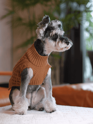 Pet Sweater Vest - Toffee Orange - ThoseDogParents