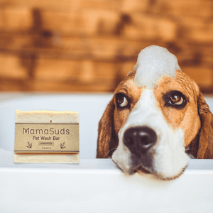 Pet Wash Bar Unscented - ThoseDogParents