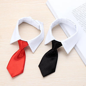 Pets Dog - Cat Long Tie Adjustable - ThoseDogParents