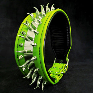 ''Predator'' collar in Green - ThoseDogParents