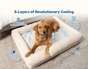 PupChill™ Cooling 4 - Bolster Dog Bed - Arctic Sand - ThoseDogParents