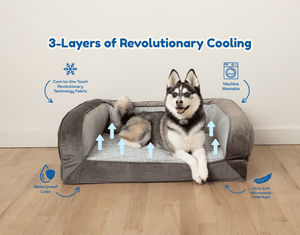 PupChill™ Cooling Bolster Dog Bed - ThoseDogParents