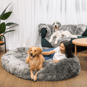 PupCloud™ Human - Size Dog Bed + Matching Waterproof Blanket Bundle - Charcoal Grey - ThoseDogParents