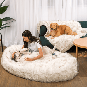 PupCloud™ Human - Size Dog Bed + Matching Waterproof Blanket Bundle - White with Brown Accents - ThoseDogParents