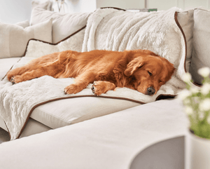 PupProtector™ Summer Short Fur Waterproof Throw Blanket - Polar White - ThoseDogParents