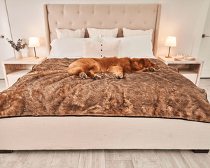 PupProtector™ Summer Short Fur Waterproof Throw Blanket - Sable Tan - ThoseDogParents