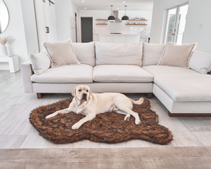 PupRug by Paw.com® Faux Fur Orthopedic Dog Bed - Curve Brown - ThoseDogParents