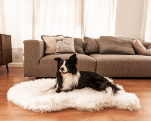 PupRug by Paw.com® Faux Fur Orthopedic Dog Bed - Curve Polar White - ThoseDogParents