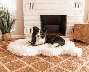 PupRug by Paw.com® Faux Fur Orthopedic Dog Bed - Curve Polar White - ThoseDogParents
