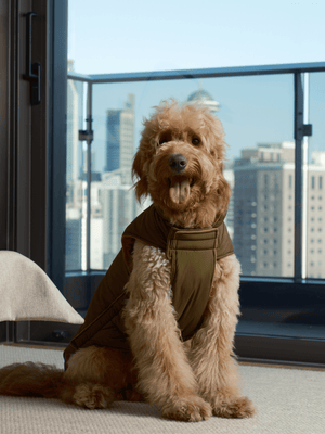 Reversible Dog Vest Jacket - Green Brown - ThoseDogParents