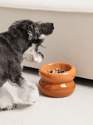 Soufflé Pet Bowl - Amber Orange - ThoseDogParents