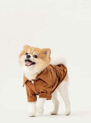 STAINWAY SHIRT - ORANGE - ThoseDogParents