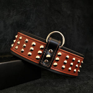 "Star" collar - ThoseDogParents