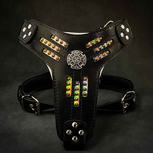 The Atlantis Harness - ThoseDogParents