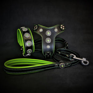 The ''Bijou'' SET - Collar, Harness, Leash. Green - ThoseDogParents