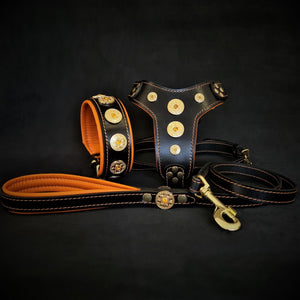 The ''Bijou'' SET - Collar, Harness, Leash. Orange - ThoseDogParents