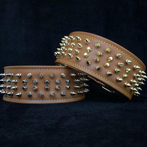 The "Crown" collar - ThoseDogParents